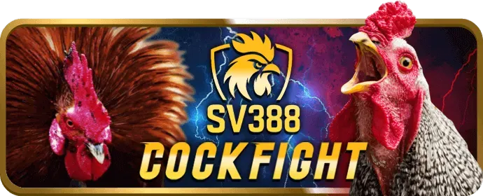 Đá Gà Cựa Sắt Kịch Tính